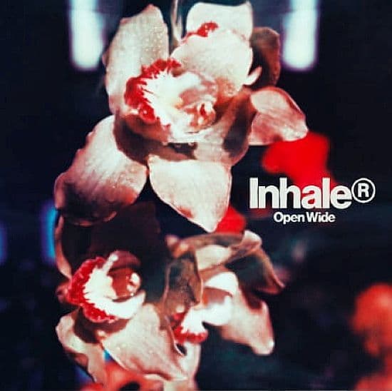 Inhaler - Open Wide