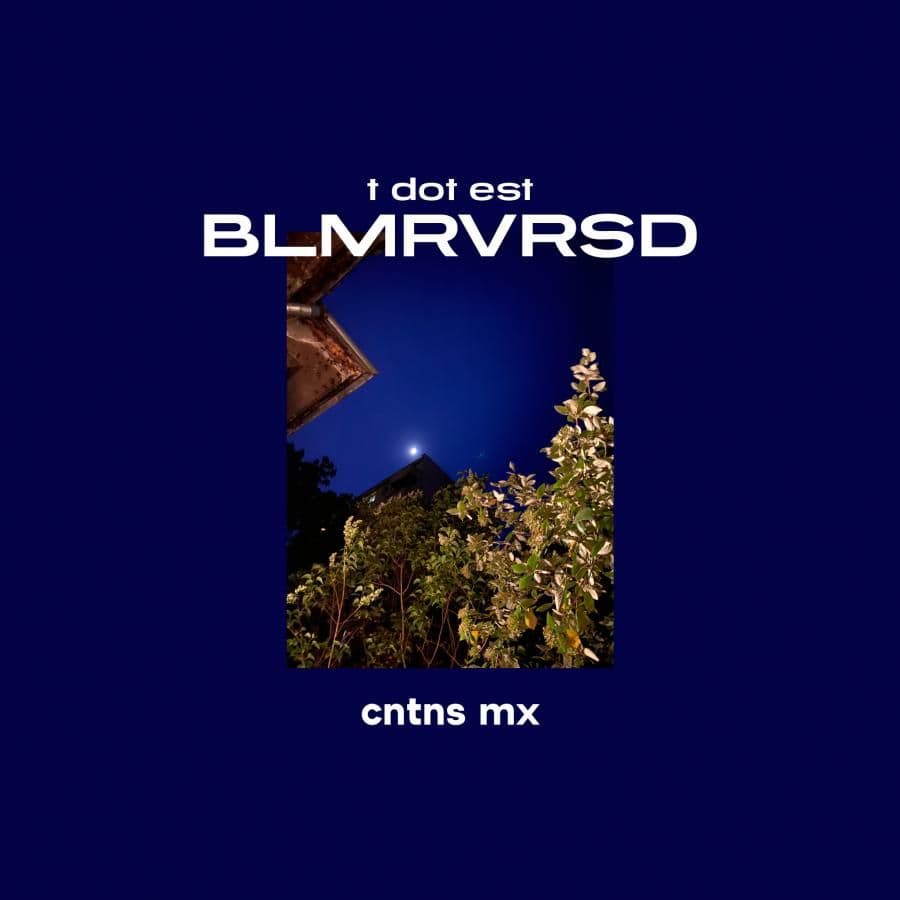 t dot est - BLMRVRSD