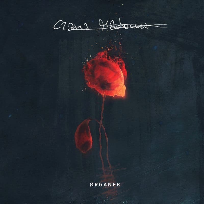 Ørganek - Czarna Madonna