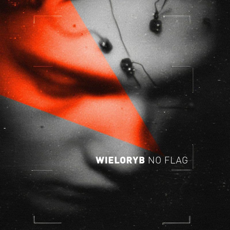 Wieloryb wydał "No Flag"
