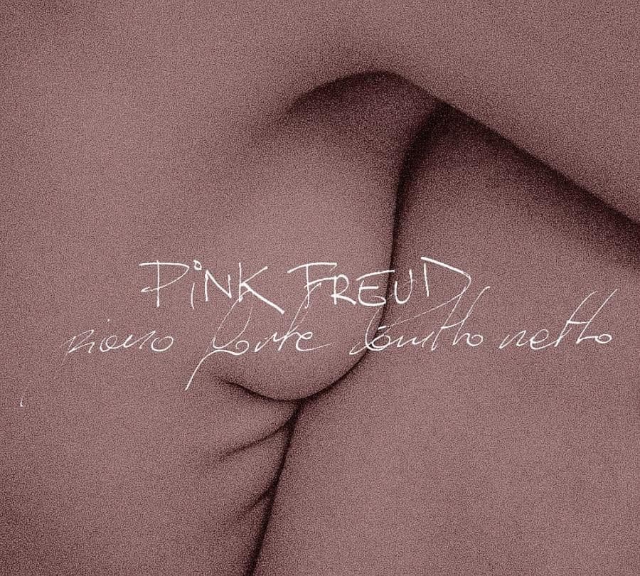 Pink Freud