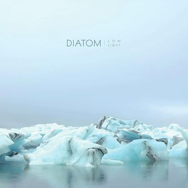 Diatom - Low Light