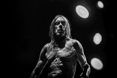 Gwiazdy na nowej płycie Iggy'ego Popa