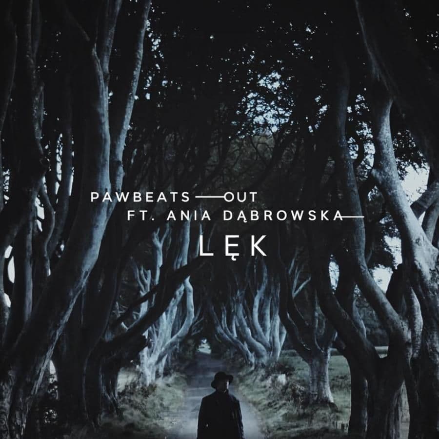 Ania Dąbrowska gościem Pawbeatsa