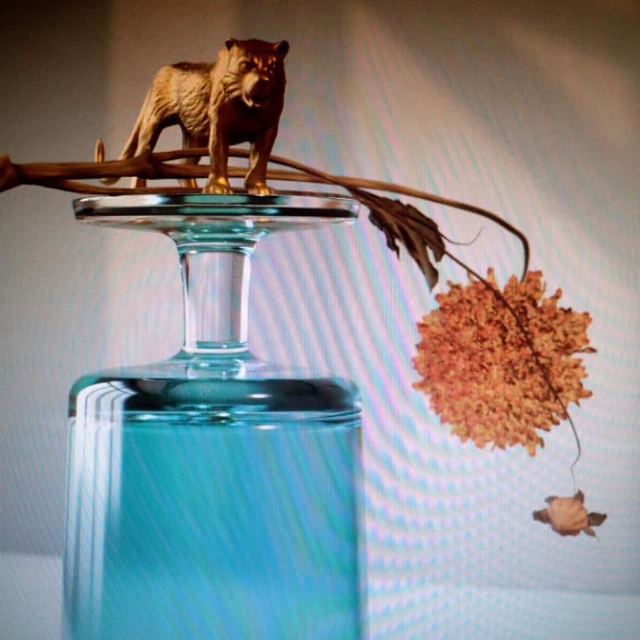 Beirut zapowiada nowy album