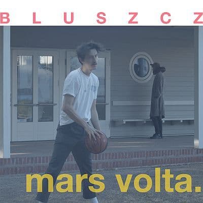 Bluszcz znowu zakwitnie