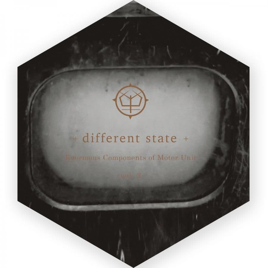 Different State wydało nowy album