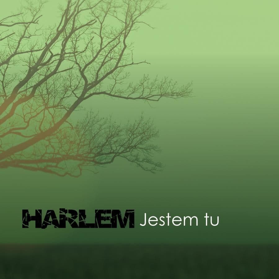 Harlem jest tu