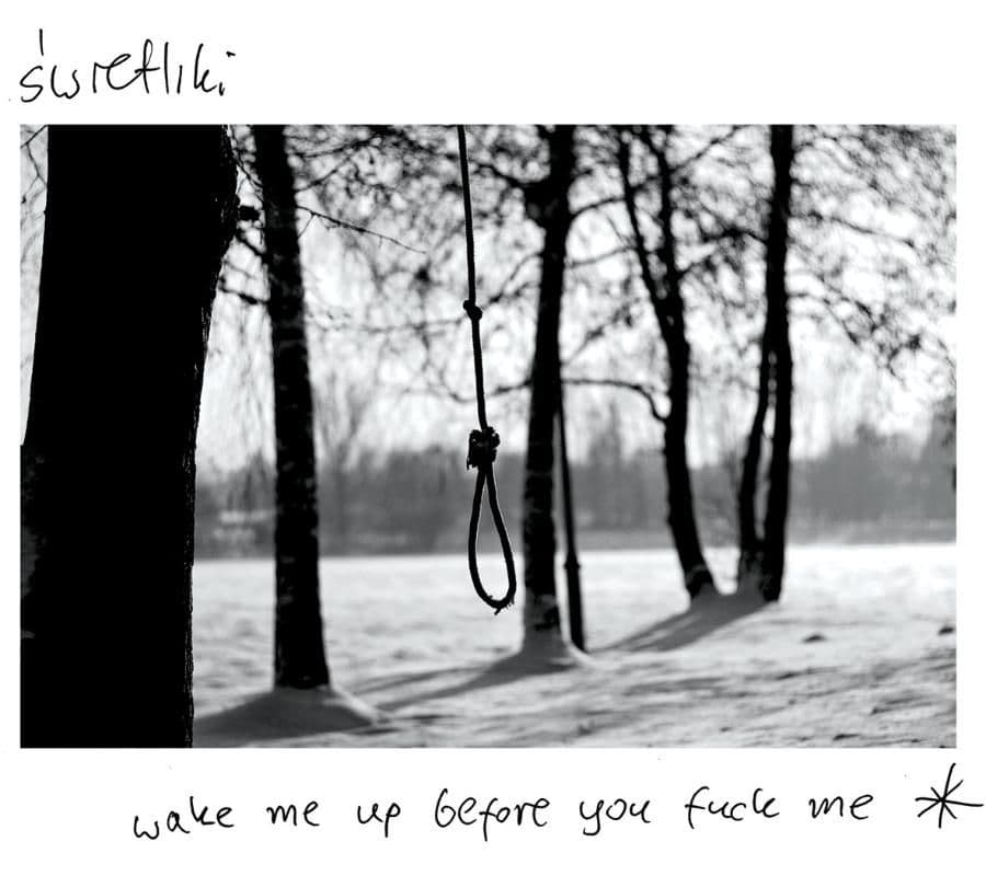 Świetliki wydały nowy album