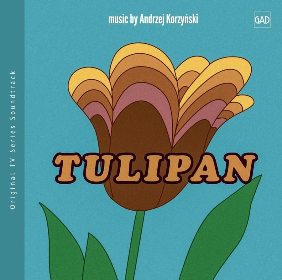 "Tulipan" powróci za 11 dni