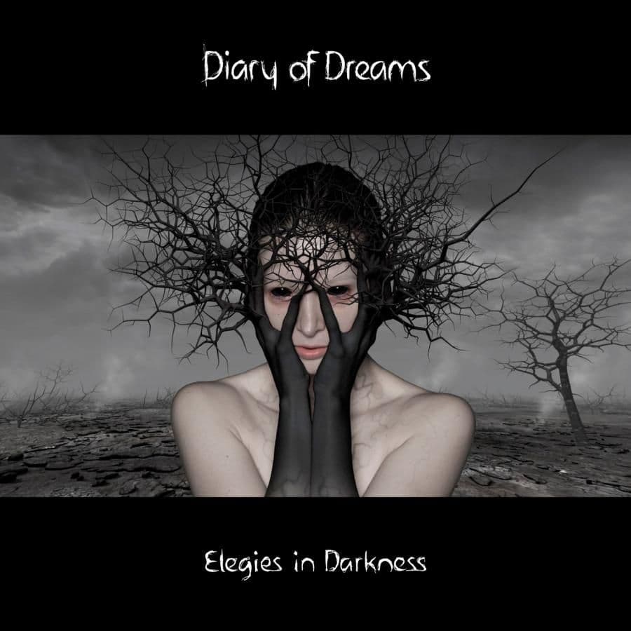 Diary Of Dreams - Elegies In Darkness